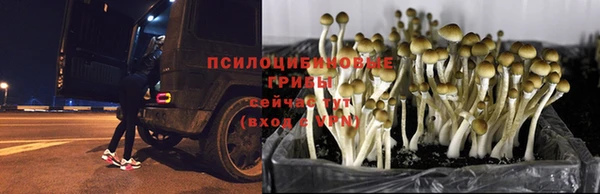мяу мяу мука Алексеевка