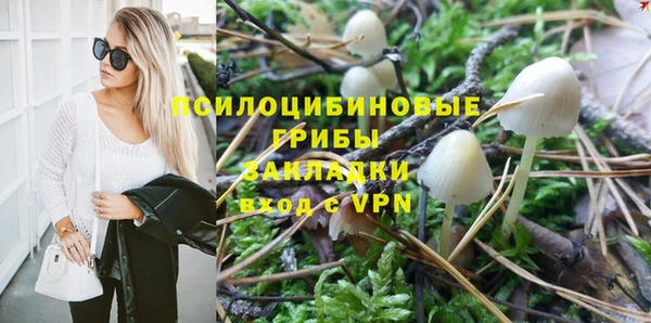мяу мяу мука Алексеевка