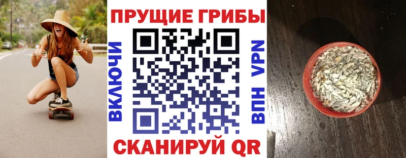 Галлюциногенные грибы GOLDEN TEACHER Венёв